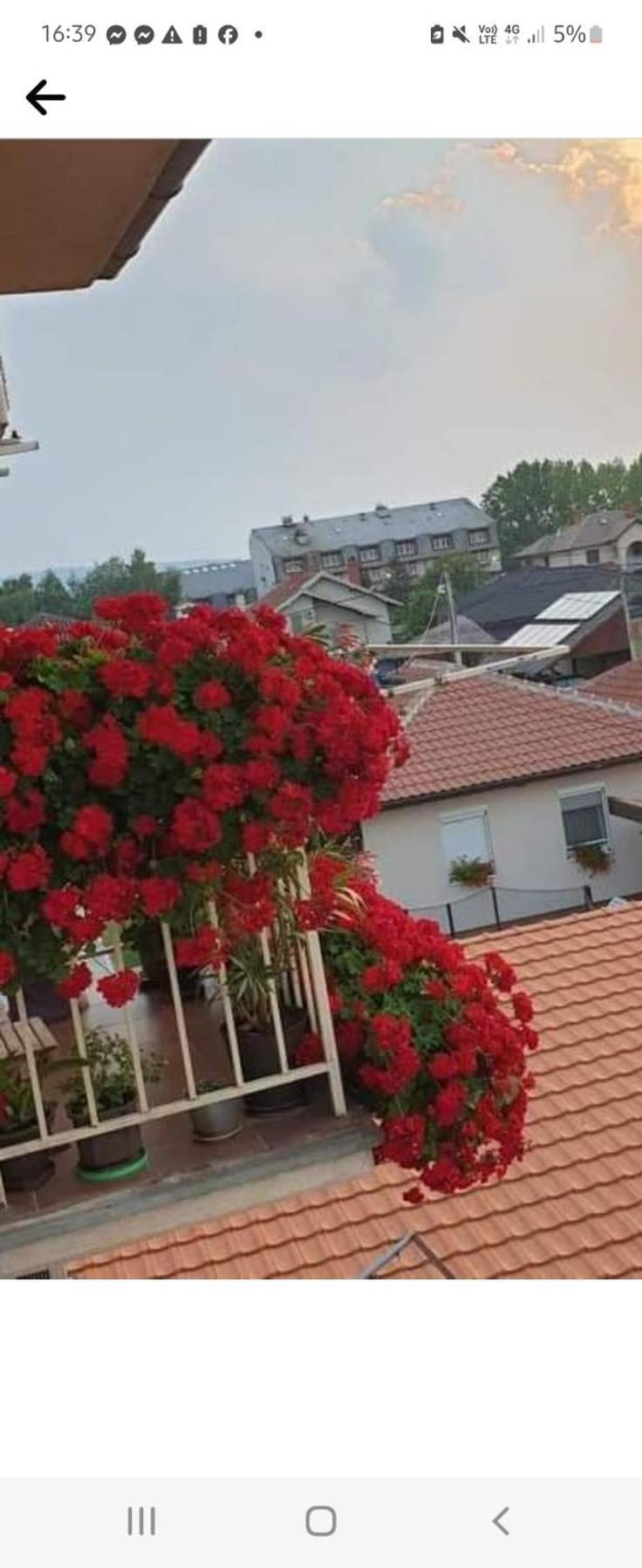 Apartment Jasemin *
